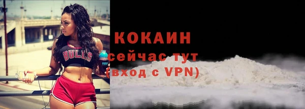 дживик Белоозёрский