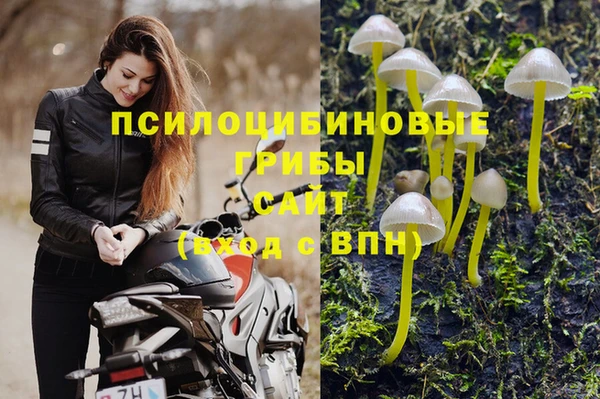 таблы Белокуриха